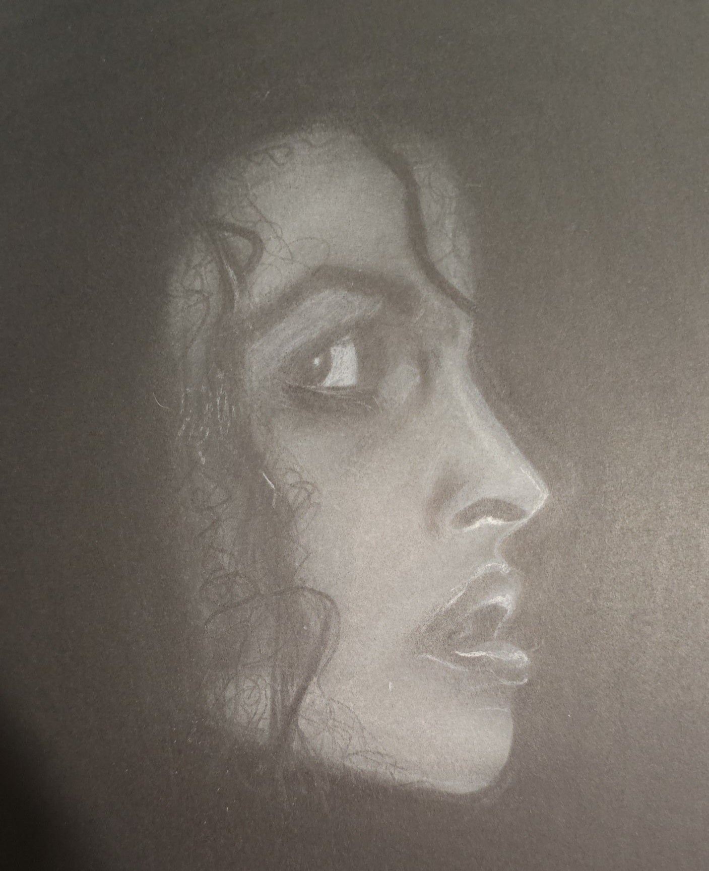 Custom Portraits