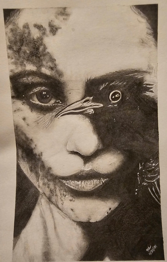 Abstract Portraits