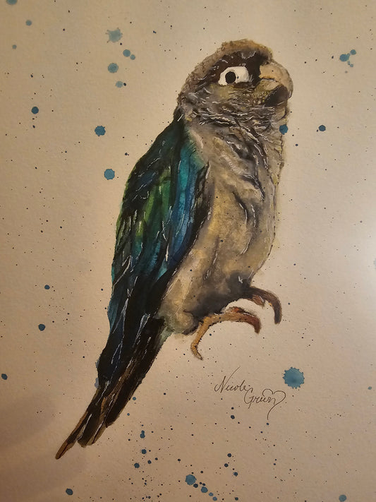 Animal Watercolor Portraits