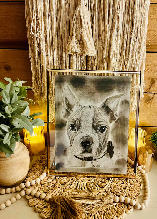 Custom Graphite Pet Portraits