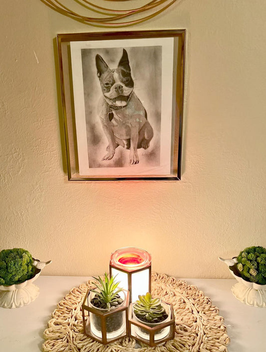 Custom Graphite Pet Portraits