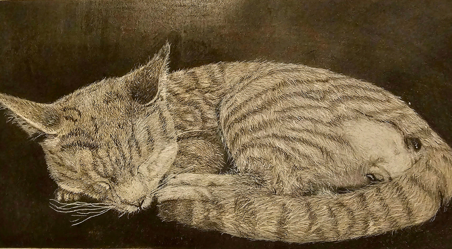 Custom Graphite Pet Portraits
